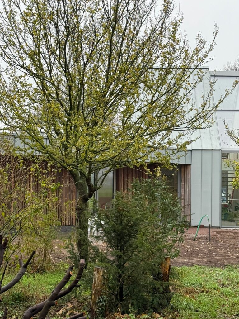 Project Heino | Elshof Metaaldak is dé specialist in hoogwaardige metalen dak- en gevelbekleding